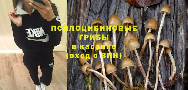 альфа пвп Елабуга