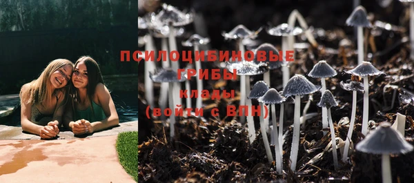 кокаин премиум Ельня