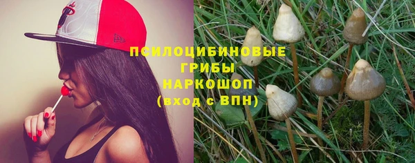 кокаин премиум Ельня
