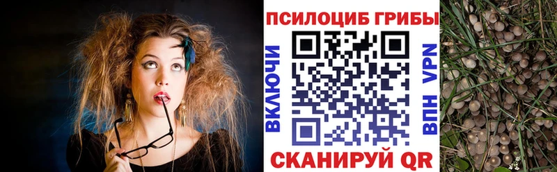 Купить закладки  Лангепас  Псилоцибиновые грибы мухоморы 