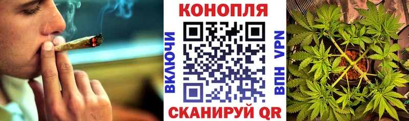 Купить где  Лангепас  Конопля ГИДРОПОН 